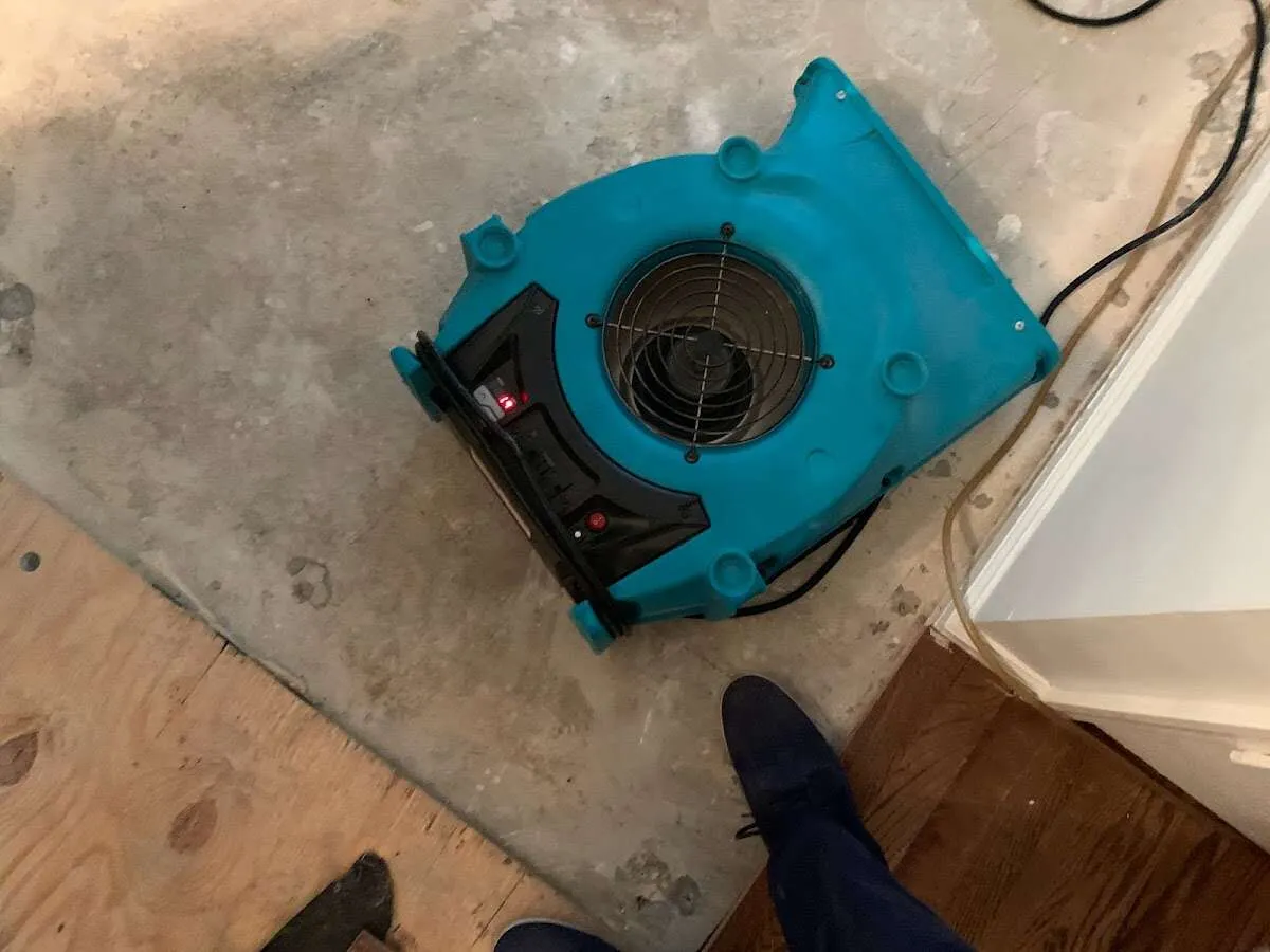 Air mover drying subfloor during Leak Detection & Repair in Elk River